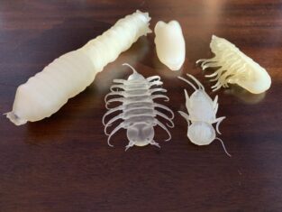3D Printed Macroinvertebrates