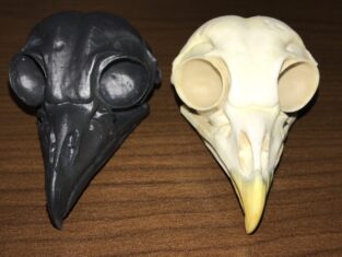 3D Printed Owl Skull